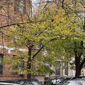 Meet your Posher, Yeldos